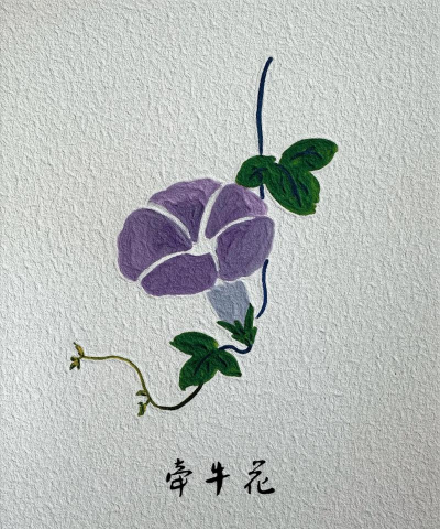 小众送妈妈的花有哪些花