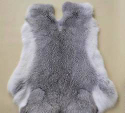 獭兔皮多少钱一张