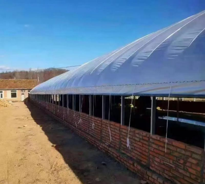 小众送妈妈的花有哪些花