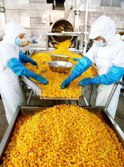 小众送妈妈的花有哪些花