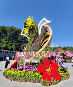 小众送妈妈的花有哪些花