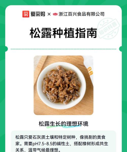 松露种植技术方法