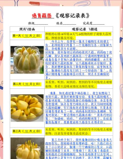 小众送妈妈的花有哪些花