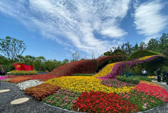 小众送妈妈的花有哪些花