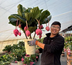 小众送妈妈的花有哪些花