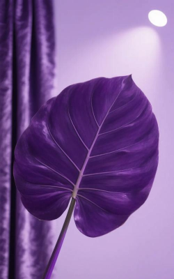 小众送妈妈的花有哪些花