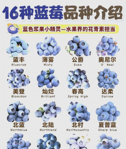 小众送妈妈的花有哪些花