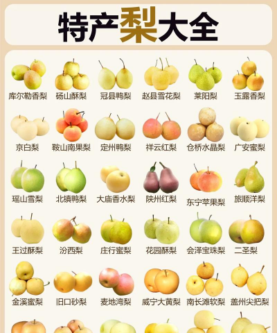 梨的品种有哪些?