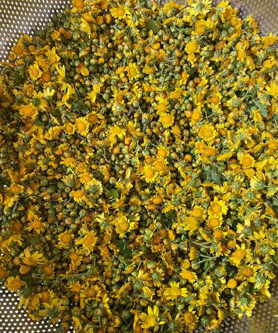 小众送妈妈的花有哪些花