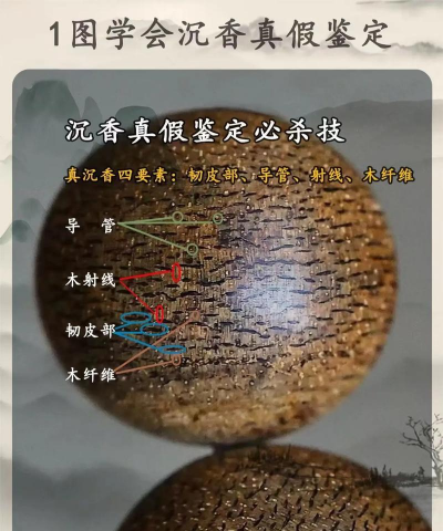 沉香木与沉香的区别在哪里?