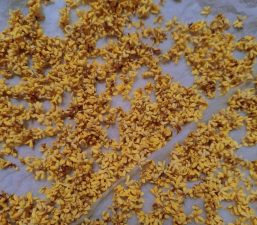 小众送妈妈的花有哪些花