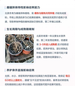 小众送妈妈的花有哪些花