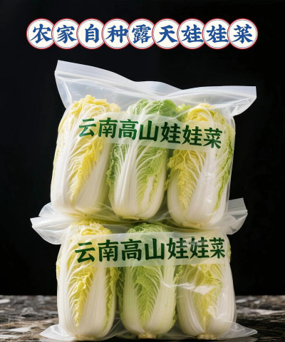 娃娃菜耐寒多少度