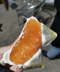 小众送妈妈的花有哪些花