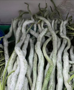 小众送妈妈的花有哪些花