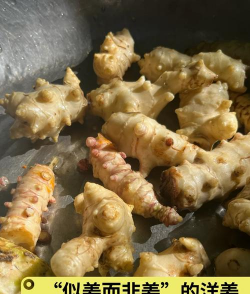 洋姜10月份埋入土里可以吗