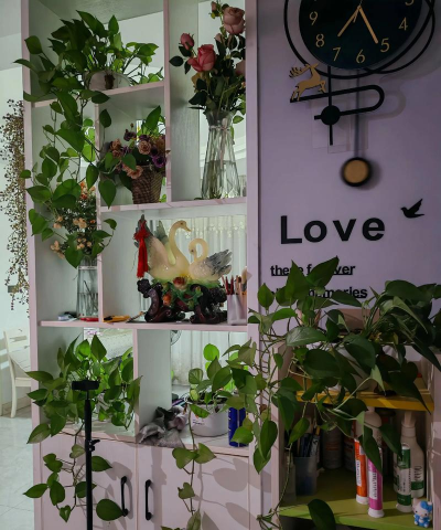 小众送妈妈的花有哪些花