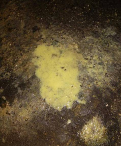 小众送妈妈的花有哪些花