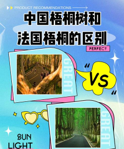 法国梧桐和中国梧桐的区别