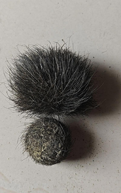 小众送妈妈的花有哪些花