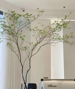 小众送妈妈的花有哪些花