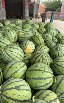 小众送妈妈的花有哪些花