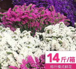 小众送妈妈的花有哪些花