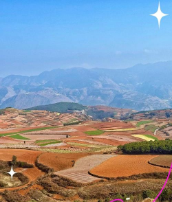 红土地适合种植什么经济作物