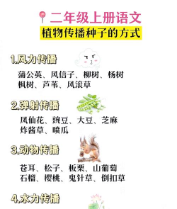 你还知道别的植物传播的方法吗