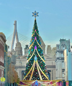 小众送妈妈的花有哪些花