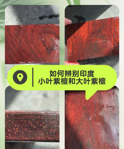 檀香紫檀是印度小叶紫檀吗