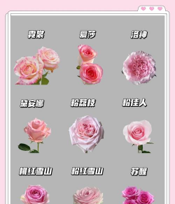 小众送妈妈的花有哪些花