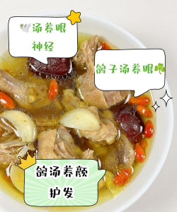 鸽子万能中草药配方