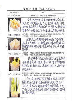 小众送妈妈的花有哪些花