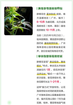 小众送妈妈的花有哪些花