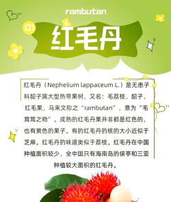 小众送妈妈的花有哪些花