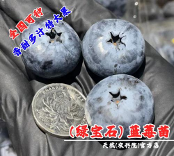 小众送妈妈的花有哪些花