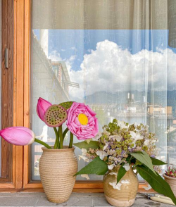 小众送妈妈的花有哪些花