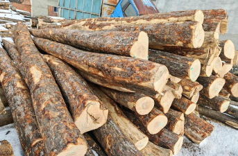 东北三大名贵硬木