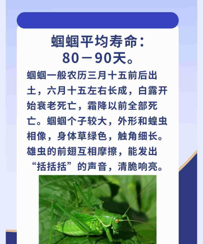 蝈蝈能活多久 蝈蝈能活多久