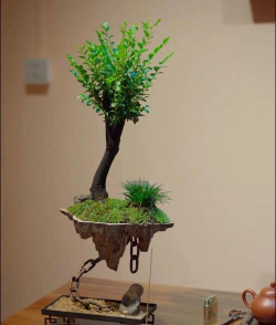 小众送妈妈的花有哪些花