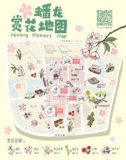 小众送妈妈的花有哪些花