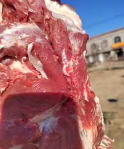 小众送妈妈的花有哪些花