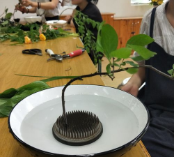 小众送妈妈的花有哪些花