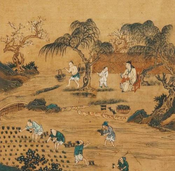 小众送妈妈的花有哪些花