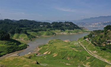 三峡水库太平溪镇消落带植物群落类型分布