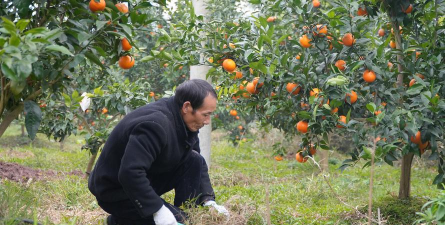 小众送妈妈的花有哪些花