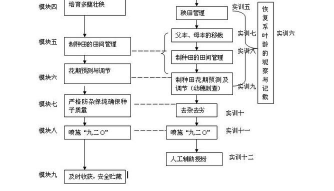 小众送妈妈的花有哪些花