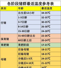 猪低烧温度是多少 猪低烧温度是多少