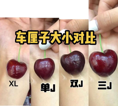 车厘子xl和2j的区别